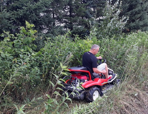 Jak przygotować wieloletnie nieużytki pod uprawy? Pomocne narzędzia